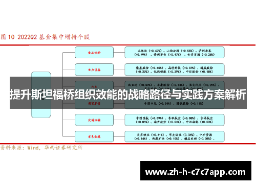 提升斯坦福桥组织效能的战略路径与实践方案解析