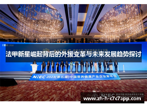 法甲新星崛起背后的外援变革与未来发展趋势探讨